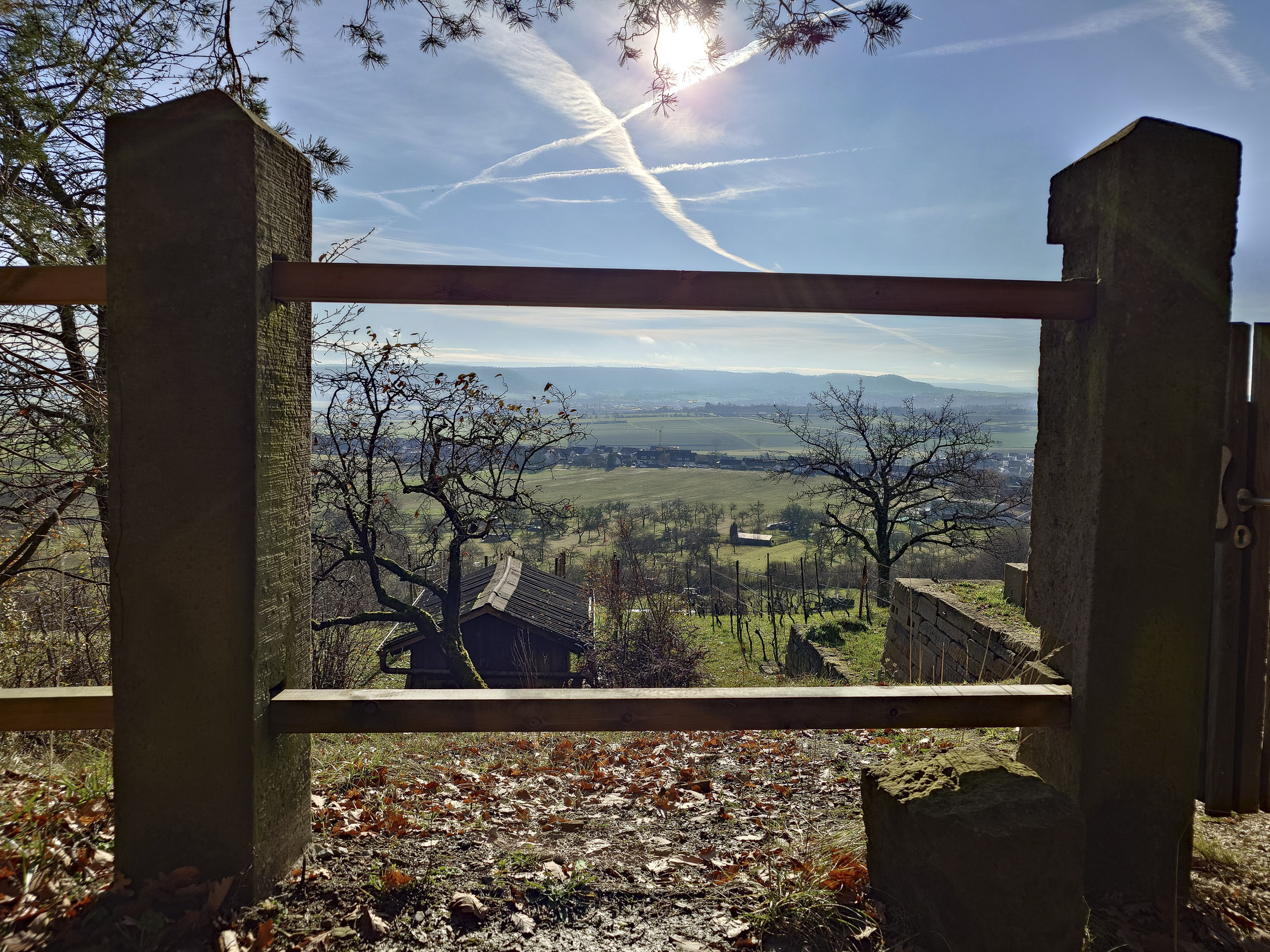 20251129115105 20251129 115105525